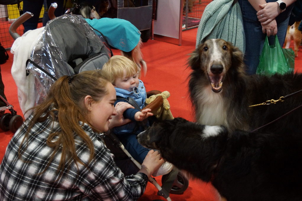  Monya and Pintel sayiong hello to people at Crufts. With ttheir outgoing personalities and laid back attitude make them ideal for film, photographic or publicity work.