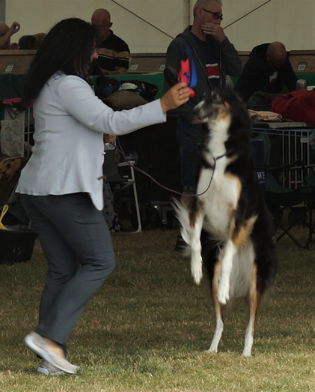 Monya celebrates winnng BOB & her 6th CC at Driffield Ch Show