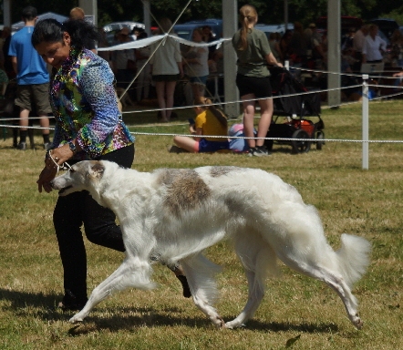 DSC05104 (1)