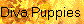 Diva Puppies - Click Here